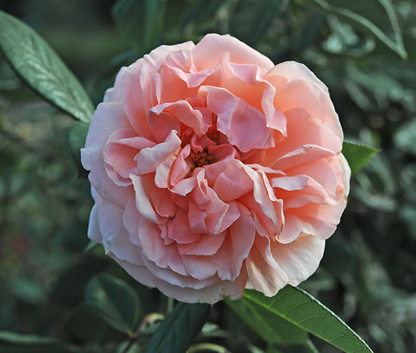 2014-10