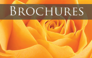 Brochures