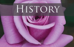 History