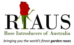 Riaus