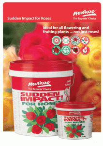 SuddenImpactForRosesBrochur