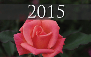 2015
